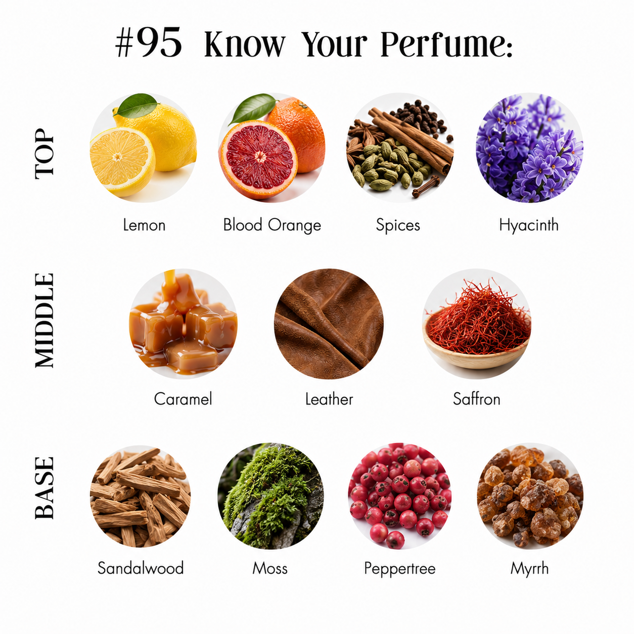 Image of LULUORANGE 95